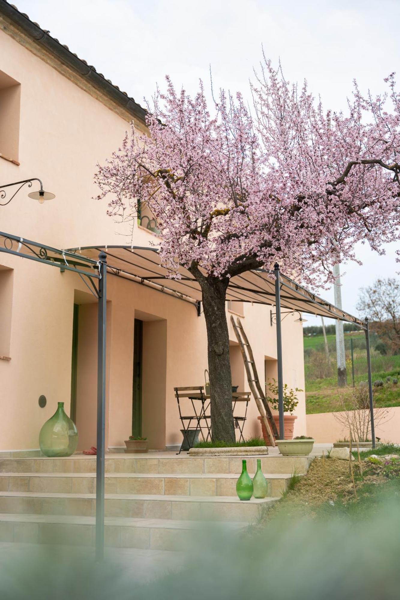 B&B Le Rondini Ostra Senigallia Casine  Kültér fotó